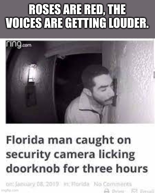ROSES ARE RED, THE VOICES ARE GETTING LOUDER. | image tagged in befdb | made w/ Imgflip meme maker