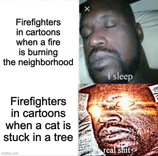 image title | Firefighters in cartoons when a fire is burning the neighborhood; Firefighters in cartoons when a cat is stuck in a tree | image tagged in memes,sleeping shaq,cartoon | made w/ Imgflip meme maker