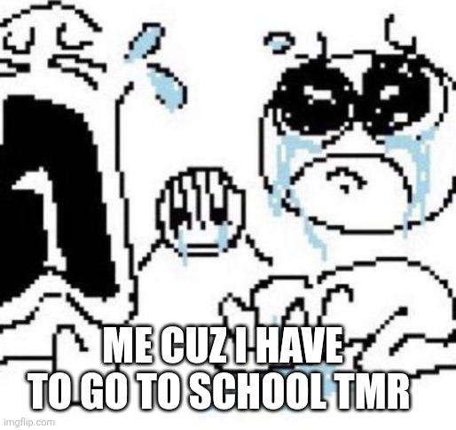 Guys help | ME CUZ I HAVE TO GO TO SCHOOL TMR | image tagged in help | made w/ Imgflip meme maker