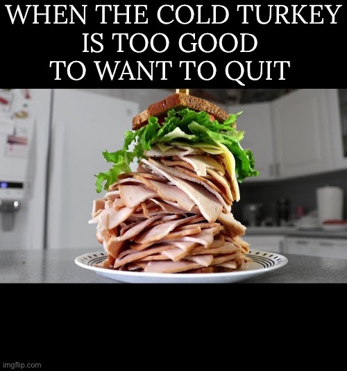 Pun of the day | WHEN THE COLD TURKEY
IS TOO GOOD 
TO WANT TO QUIT | image tagged in funny | made w/ Imgflip meme maker