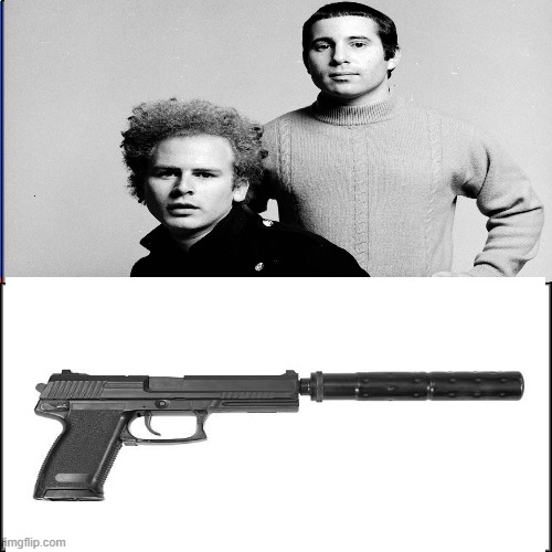 Can you Guess the song. LOL | image tagged in second amendment,conservatives,guns,lol | made w/ Imgflip meme maker