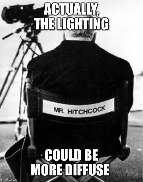 Director meme | ACTUALLY, THE LIGHTING COULD BE MORE DIFFUSE | image tagged in director meme | made w/ Imgflip meme maker
