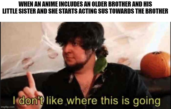Sweet home Alabama | WHEN AN ANIME INCLUDES AN OLDER BROTHER AND HIS LITTLE SISTER AND SHE STARTS ACTING SUS TOWARDS THE BROTHER | image tagged in jontron i don't like where this is going,anime,memes | made w/ Imgflip meme maker