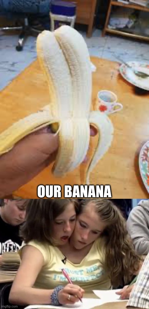 Banana | OUR BANANA | image tagged in conjoined hensel twins,banana,twin banana | made w/ Imgflip meme maker