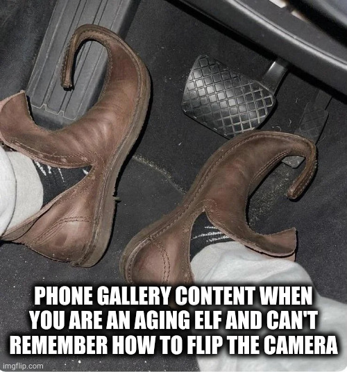 what is that | PHONE GALLERY CONTENT WHEN YOU ARE AN AGING ELF AND CAN'T REMEMBER HOW TO FLIP THE CAMERA | image tagged in memes | made w/ Imgflip meme maker