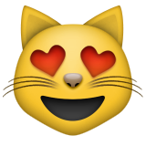 Smiling Cat Face with Heart-Shaped Eyes Meme Template