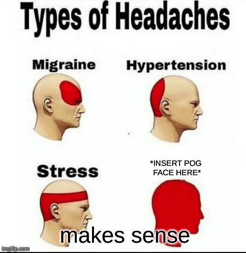 Types of Headaches meme | *INSERT POG
 FACE HERE*; makes sense | image tagged in types of headaches meme | made w/ Imgflip meme maker