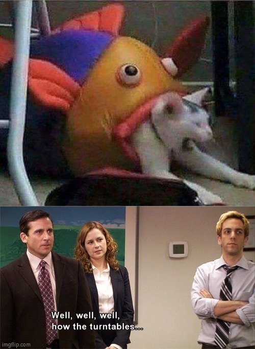 The time for the revenge has come. | image tagged in cat being swallowed by fish,how the tables turned,funny | made w/ Imgflip meme maker