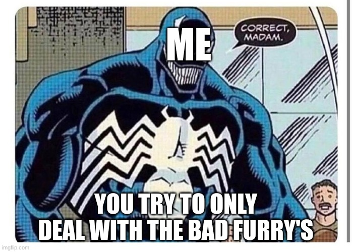 VENOM SAYS "CORRECT MADAM" | ME YOU TRY TO ONLY DEAL WITH THE BAD FURRY'S | image tagged in venom says correct madam | made w/ Imgflip meme maker