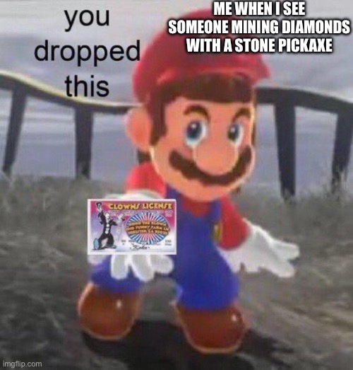 Mario You dropped this | ME WHEN I SEE SOMEONE MINING DIAMONDS WITH A STONE PICKAXE | image tagged in mario you dropped this | made w/ Imgflip meme maker