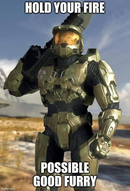 master chief | HOLD YOUR FIRE POSSIBLE GOOD FURRY | image tagged in master chief | made w/ Imgflip meme maker