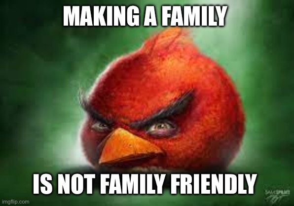 Oh no | MAKING A FAMILY; IS NOT FAMILY FRIENDLY | image tagged in realistic red angry birds,lol so funny | made w/ Imgflip meme maker
