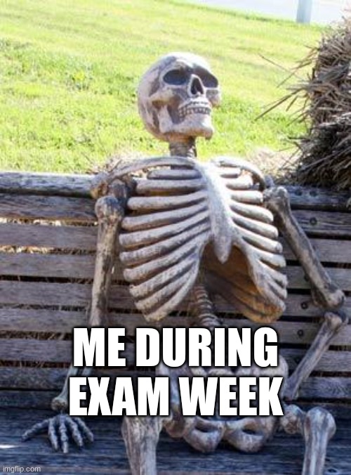 Waiting Skeleton | ME DURING EXAM WEEK | image tagged in memes,waiting skeleton | made w/ Imgflip meme maker