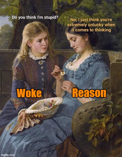 Reason; Woke | made w/ Imgflip meme maker