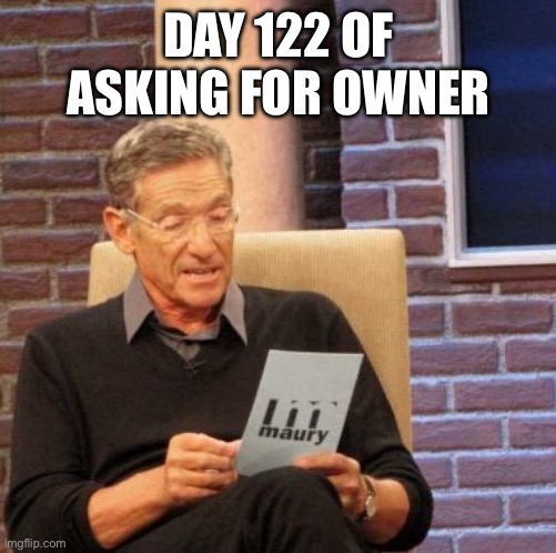 Maury Lie Detector | DAY 122 OF ASKING FOR OWNER | image tagged in memes,maury lie detector | made w/ Imgflip meme maker