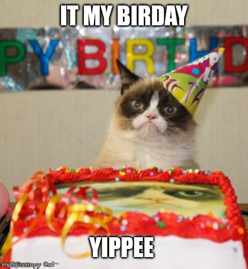 15 | IT MY BIRDAY; YIPPEE | image tagged in memes,grumpy cat birthday,grumpy cat,funny,birthday,yippee | made w/ Imgflip meme maker