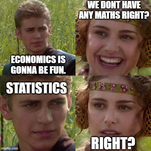 economics is wierd | WE DONT HAVE ANY MATHS RIGHT? ECONOMICS IS GONNA BE FUN. STATISTICS; RIGHT? | image tagged in anakin padme 4 panel | made w/ Imgflip meme maker