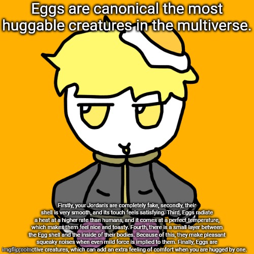 I was originally going to make this similar to the vaporeon copypasta, but decided not to. | Eggs are canonical the most huggable creatures in the multiverse. Firstly, your Jordan's are completely fake, secondly, their shell is very smooth, and its touch feels satisfying. Third, Eggs radiate a heat at a higher rate than humans, and it comes at a perfect temperature, which makes them feel nice and toasty. Fourth, there is a small layer between the Egg shell and the inside of their bodies. Because of this, they make pleasant squeaky noises when even mild force is implied to them. Finally, Eggs are very protective creatures, which can add an extra feeling of comfort when you are hugged by one. | made w/ Imgflip meme maker