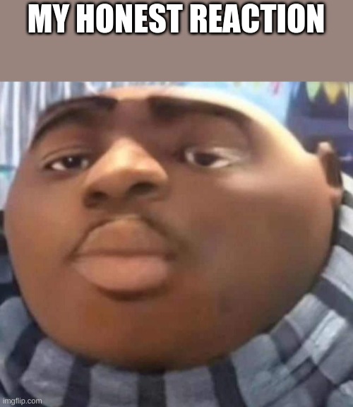 Gru | MY HONEST REACTION | image tagged in gru | made w/ Imgflip meme maker