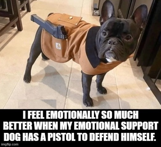My emotional support dog | image tagged in happy dog | made w/ Imgflip meme maker