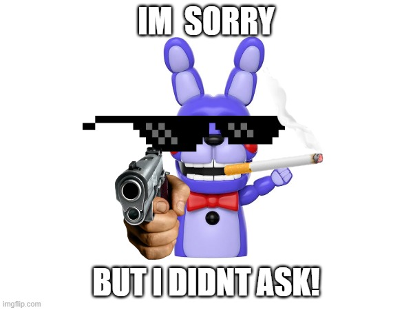 IM  SORRY BUT I DIDNT ASK! | made w/ Imgflip meme maker