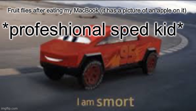 I am smort | Fruit flies after eating my MacBook (it has a picture of an apple on it); *profeshional sped kid* | image tagged in i am smort | made w/ Imgflip meme maker
