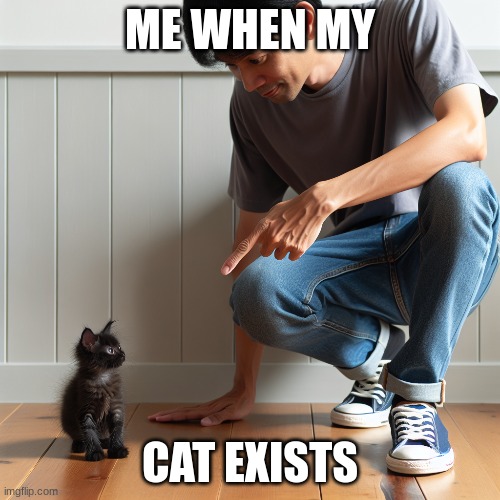 CAT AHAHAHAHAH | ME WHEN MY; CAT EXISTS | image tagged in cat | made w/ Imgflip meme maker
