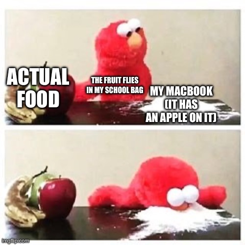 elmo cocaine | ACTUAL FOOD; THE FRUIT FLIES IN MY SCHOOL BAG; MY MACBOOK (IT HAS AN APPLE ON IT) | image tagged in elmo cocaine | made w/ Imgflip meme maker