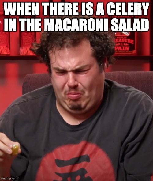 Macaroni Salad | WHEN THERE IS A CELERY IN THE MACARONI SALAD | image tagged in macaroni salad,macaroni,pasta,salad,ew,celery | made w/ Imgflip meme maker