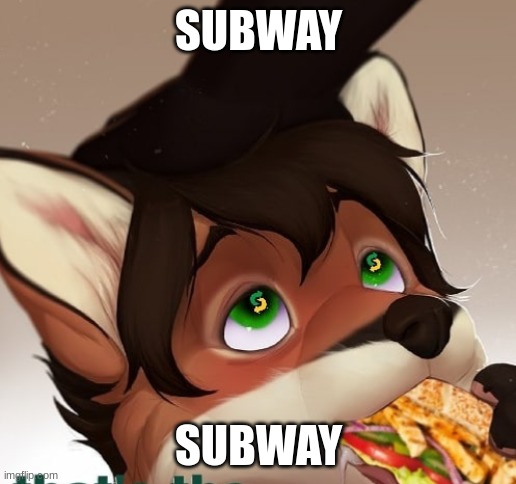 Subway | SUBWAY; SUBWAY | image tagged in subway | made w/ Imgflip meme maker