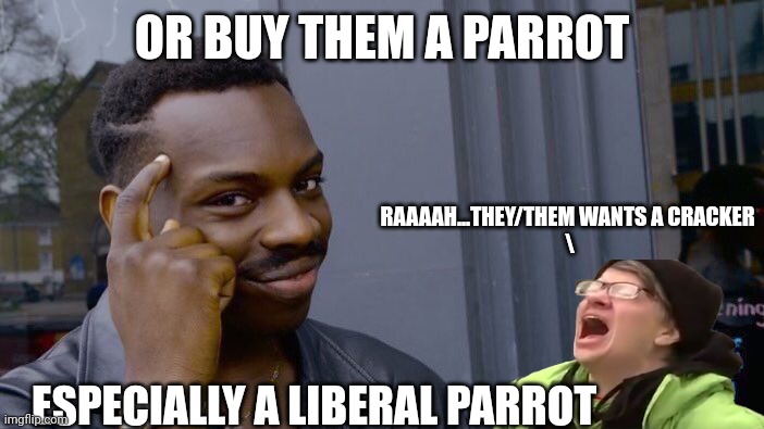 Roll Safe Think About It Meme | OR BUY THEM A PARROT ESPECIALLY A LIBERAL PARROT RAAAAH...THEY/THEM WANTS A CRACKER 
\ | image tagged in memes,roll safe think about it | made w/ Imgflip meme maker