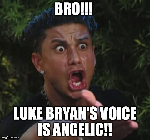 DJ Pauly D Meme | BRO!!!  LUKE BRYAN'S VOICE IS ANGELIC!! | image tagged in memes,dj pauly d | made w/ Imgflip meme maker
