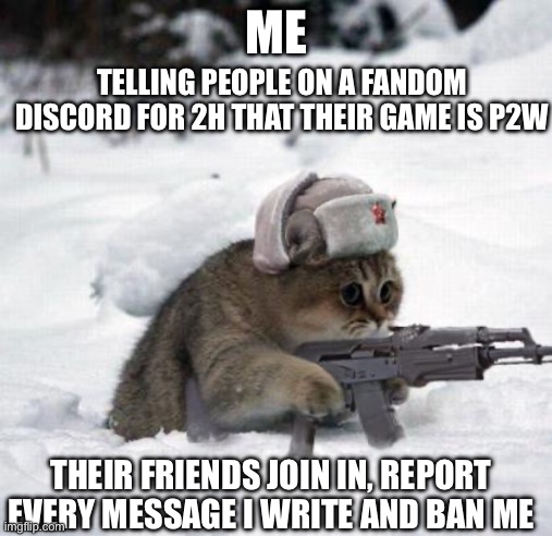 Cute Sad Soviet War Kitten | TELLING PEOPLE ON A FANDOM DISCORD FOR 2H THAT THEIR GAME IS P2W; ME; THEIR FRIENDS JOIN IN, REPORT EVERY MESSAGE I WRITE AND BAN ME | image tagged in cute sad soviet war kitten | made w/ Imgflip meme maker