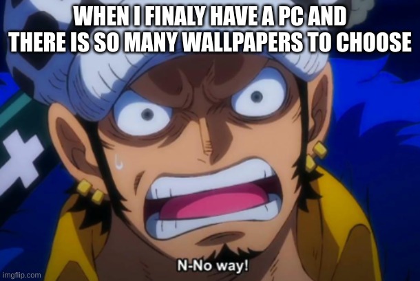 one piece memes? | WHEN I FINALY HAVE A PC AND THERE IS SO MANY WALLPAPERS TO CHOOSE | image tagged in one piece memes | made w/ Imgflip meme maker