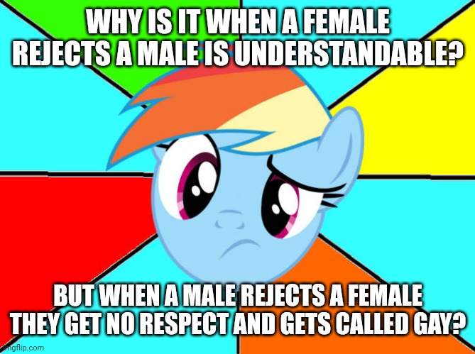 Stupid Double Standards | WHY IS IT WHEN A FEMALE REJECTS A MALE IS UNDERSTANDABLE? BUT WHEN A MALE REJECTS A FEMALE THEY GET NO RESPECT AND GETS CALLED GAY? | image tagged in rainbow dash confused,my little pony friendship is magic,rainbow dash,double standards,confusion | made w/ Imgflip meme maker