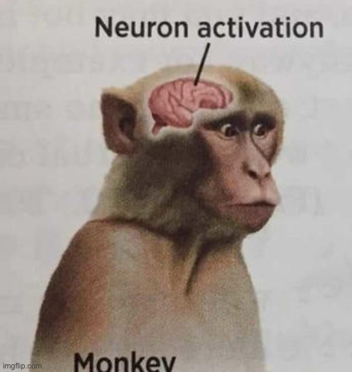 neuron activation | image tagged in neuron activation | made w/ Imgflip meme maker