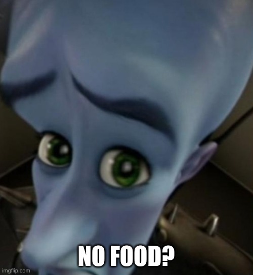 Megamind no bitches | NO FOOD? | image tagged in megamind no bitches | made w/ Imgflip meme maker