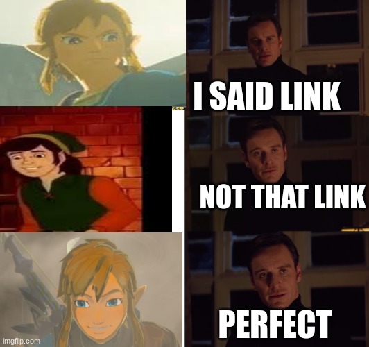 perfection | I SAID LINK; NOT THAT LINK; PERFECT | image tagged in perfection | made w/ Imgflip meme maker