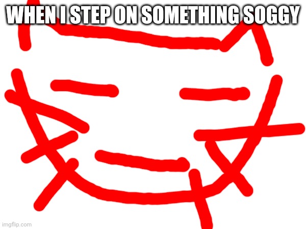 WHEN I STEP ON SOMETHING SOGGY | image tagged in cat,meh | made w/ Imgflip meme maker