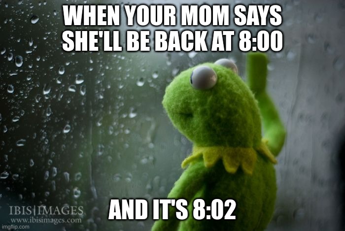 5 yr old me | WHEN YOUR MOM SAYS SHE'LL BE BACK AT 8:00; AND IT'S 8:02 | image tagged in kermit window,sadness,memes,lol,haha | made w/ Imgflip meme maker