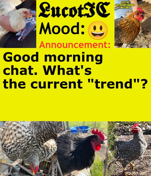 . | 😃; Good morning chat. What's the current "trend"? | image tagged in lucotic's cocks announcement template | made w/ Imgflip meme maker