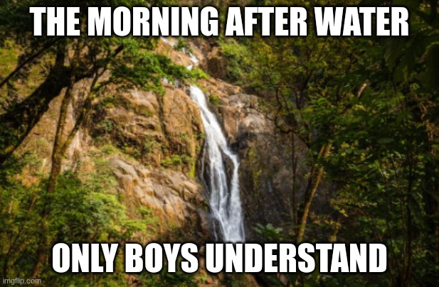 THE MORNING AFTER WATER; ONLY BOYS UNDERSTAND | image tagged in boys | made w/ Imgflip meme maker