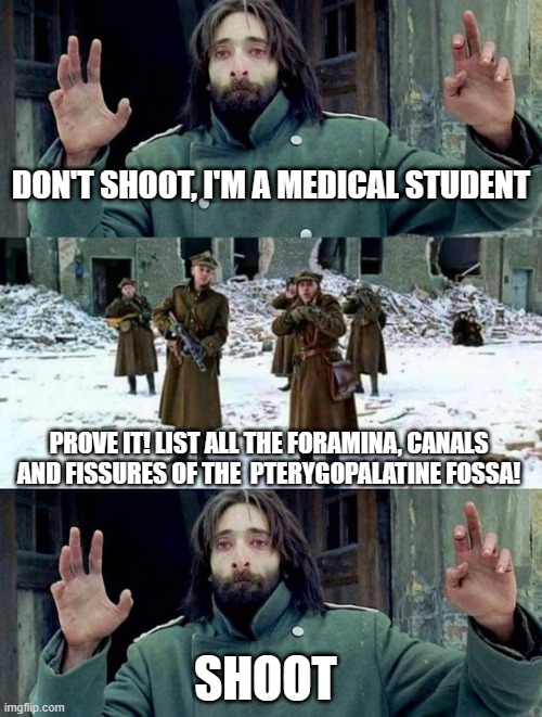 Shoot then! | DON'T SHOOT, I'M A MEDICAL STUDENT; PROVE IT! LIST ALL THE FORAMINA, CANALS AND FISSURES OF THE  PTERYGOPALATINE FOSSA! SHOOT | image tagged in no disparen/ dont shoot,medical school,medicine,anatomy,skull,university | made w/ Imgflip meme maker