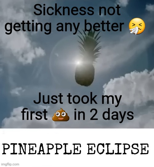 PINEAPPLE_ECLIPSE | Sickness not getting any better 🤧; Just took my first 💩 in 2 days | image tagged in pineapple_eclipse | made w/ Imgflip meme maker