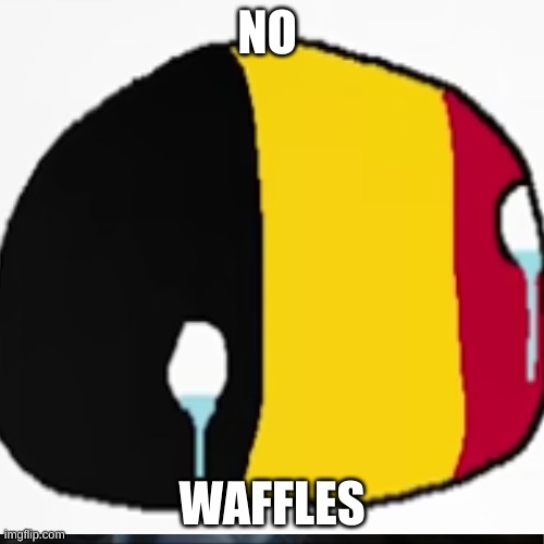 NO; WAFFLES | made w/ Imgflip meme maker