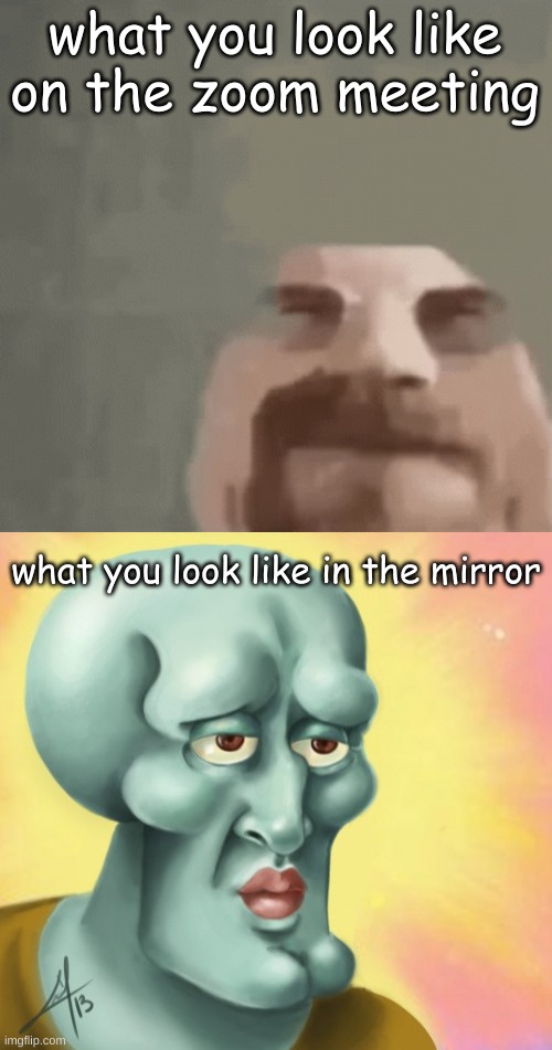 what you look like on the zoom meeting; what you look like in the mirror | image tagged in heisenburger,beautiful squidward | made w/ Imgflip meme maker