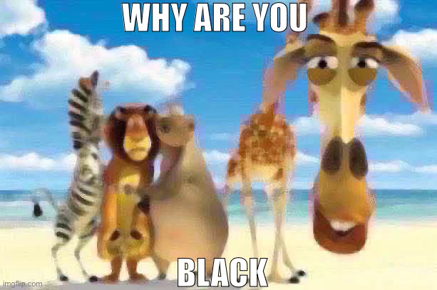 Why are you white | WHY ARE YOU; BLACK | image tagged in why are you white | made w/ Imgflip meme maker
