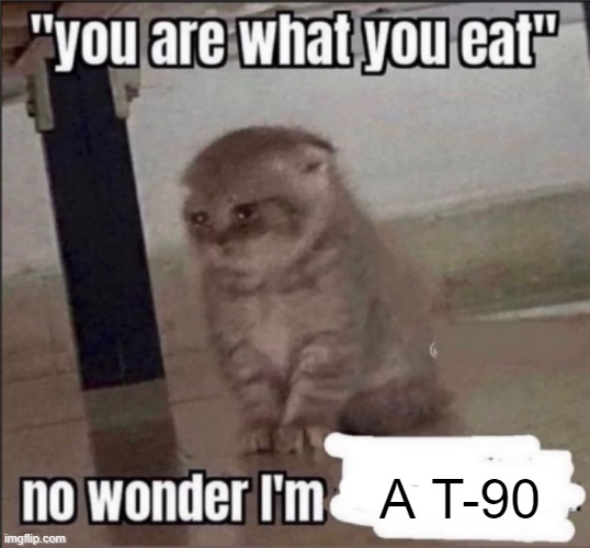 you are what you eat | A T-90 | image tagged in you are what you eat | made w/ Imgflip meme maker