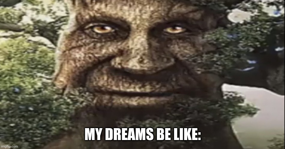 Wise mystical tree | MY DREAMS BE LIKE: | image tagged in wise mystical tree | made w/ Imgflip meme maker