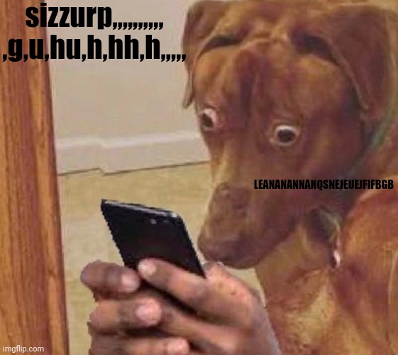 shocked dog | sizzurp,,,,,,,,,, ,g,u,hu,h,hh,h,,,,, LEANANANNANQSNEJEUEJFIFBGB | image tagged in shocked dog | made w/ Imgflip meme maker